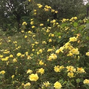 Meet your Posher, Jan